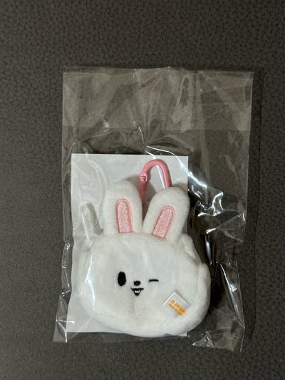 SKZ 4th 世巡 李畢 後背包 娃用