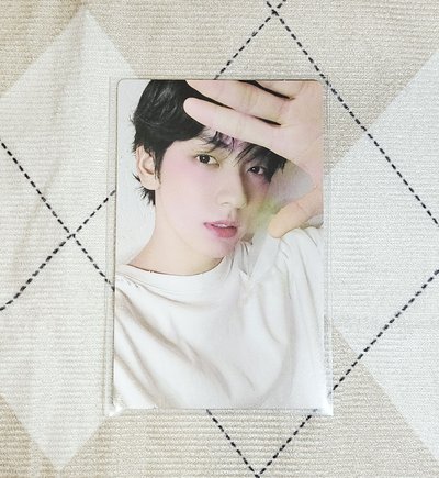 Starkissed 專卡彬