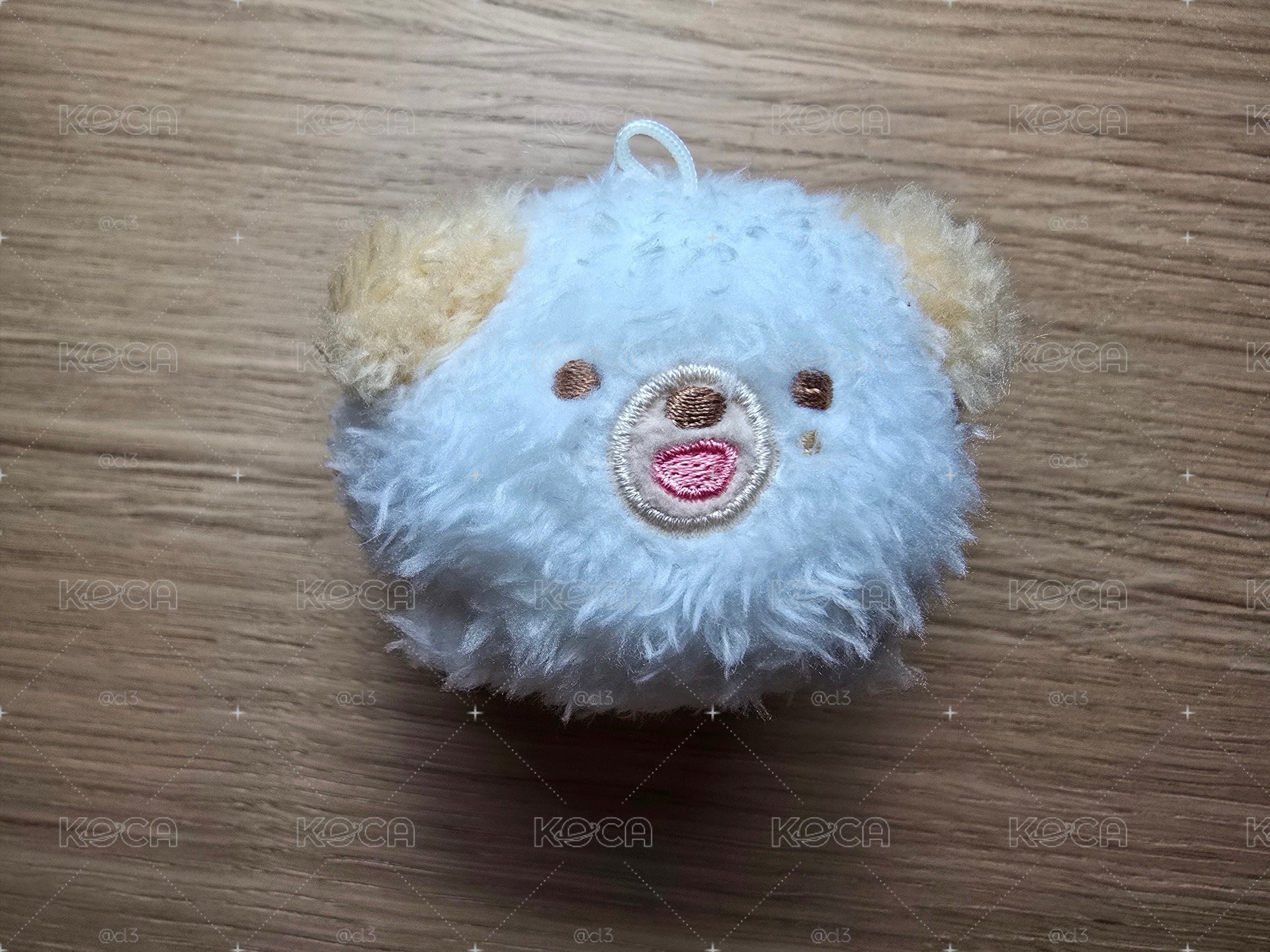 DAY6 