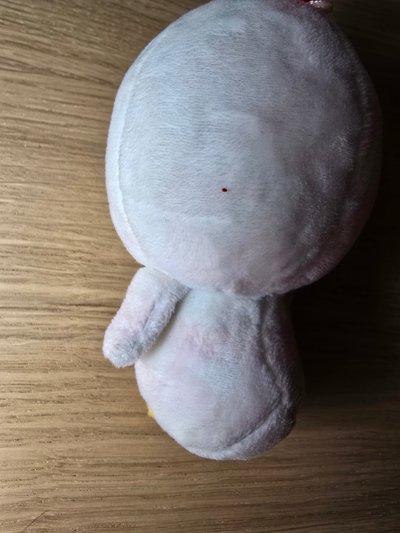 DAY6 
