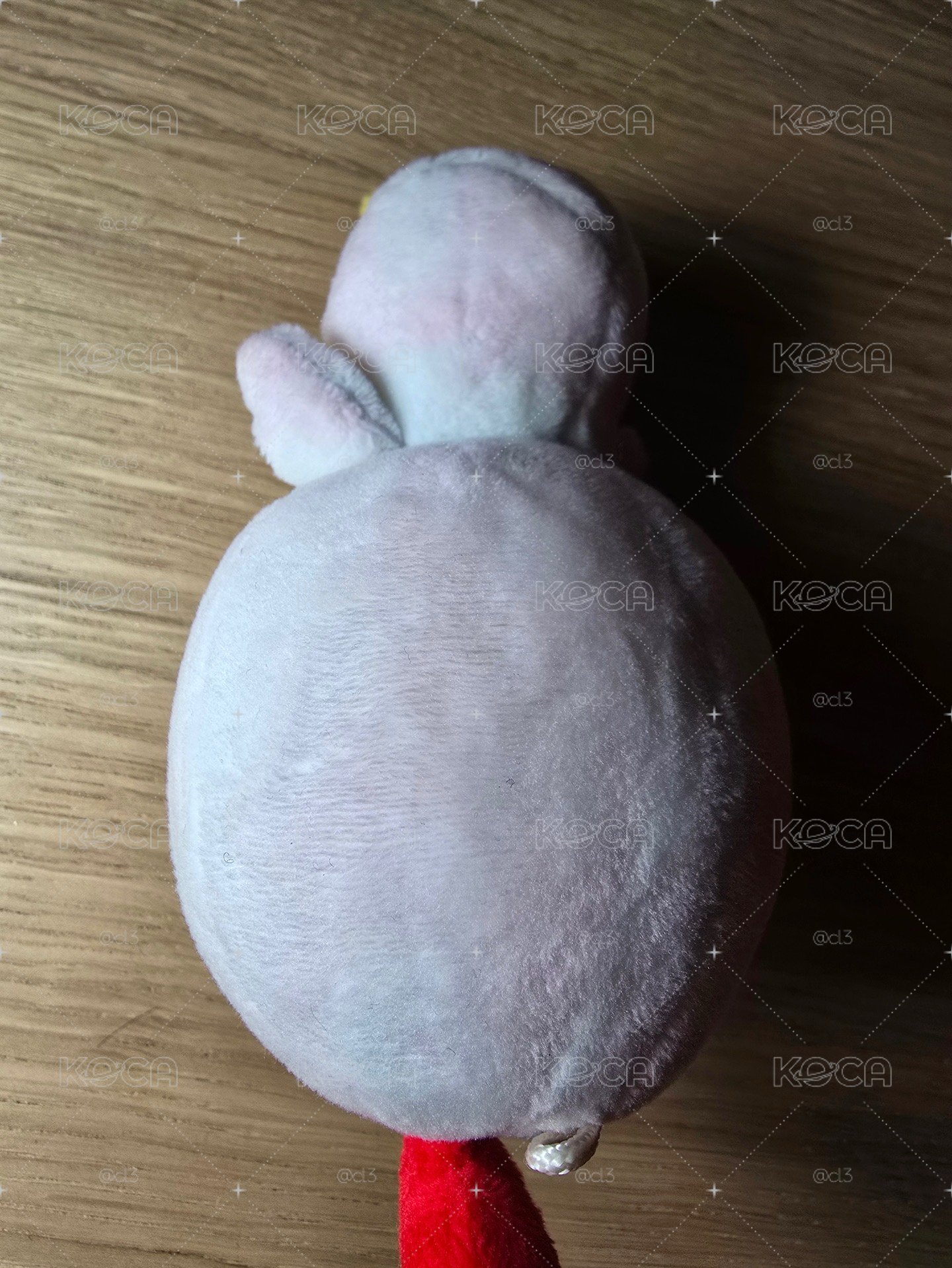 DAY6 