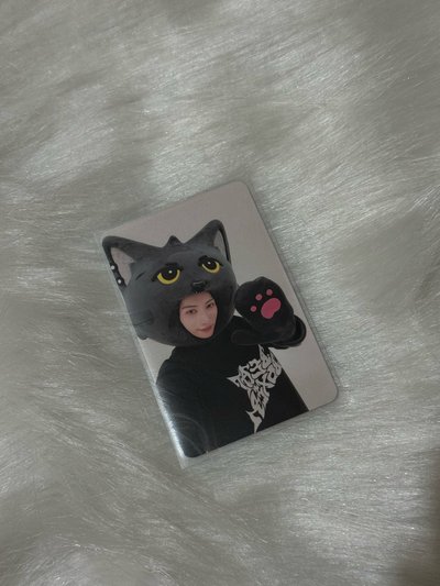 🐈‍⬛ 迷三 音中 打歌卡 