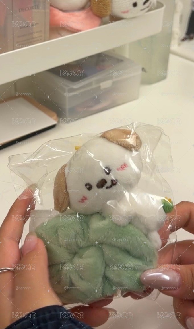 狗龍髮圈