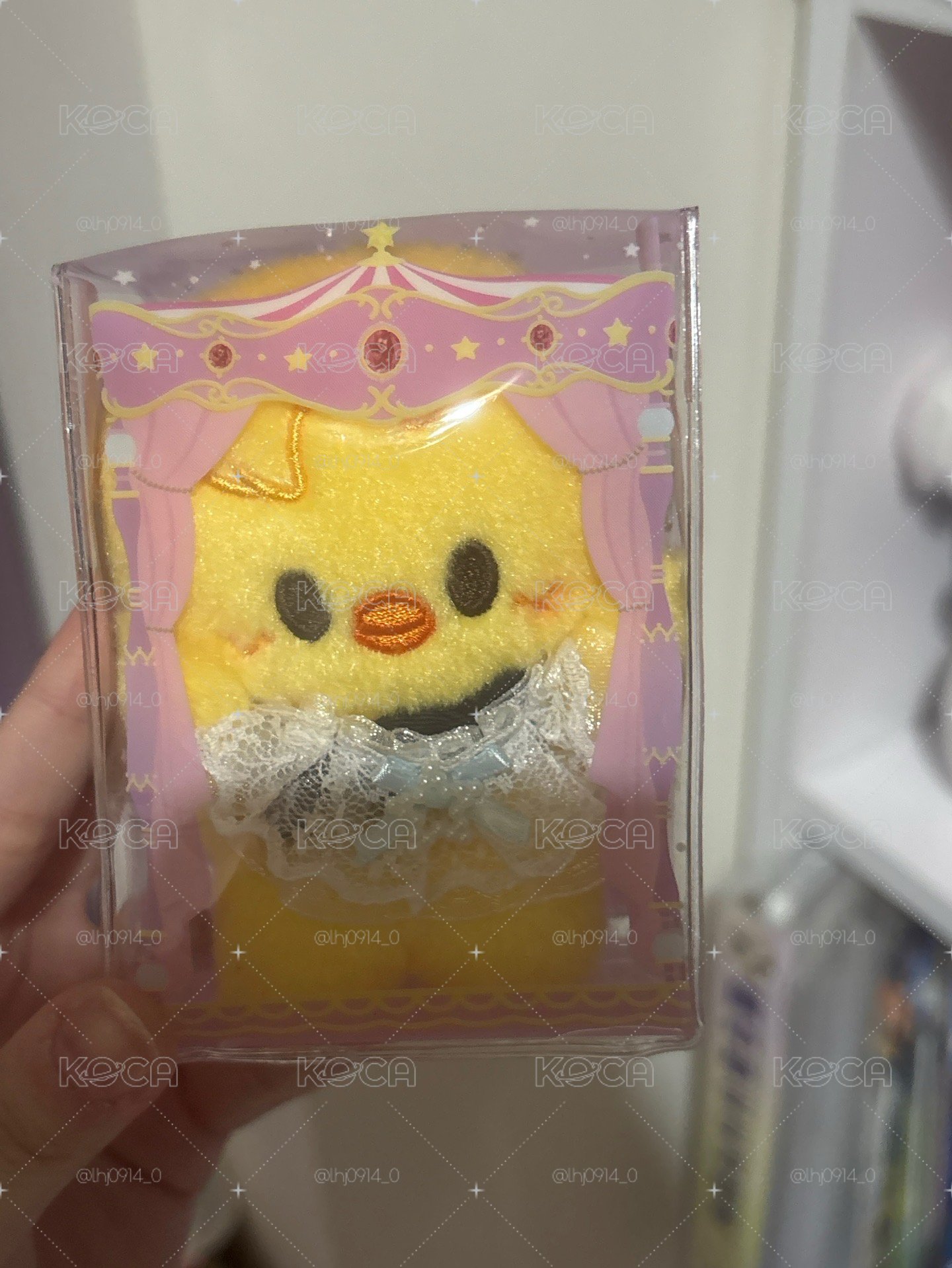 菲捧臉娃
