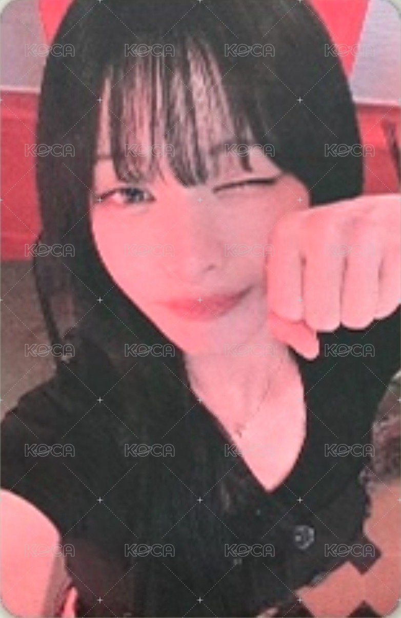 線下 小狗彩