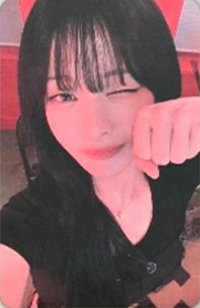 線下 小狗彩