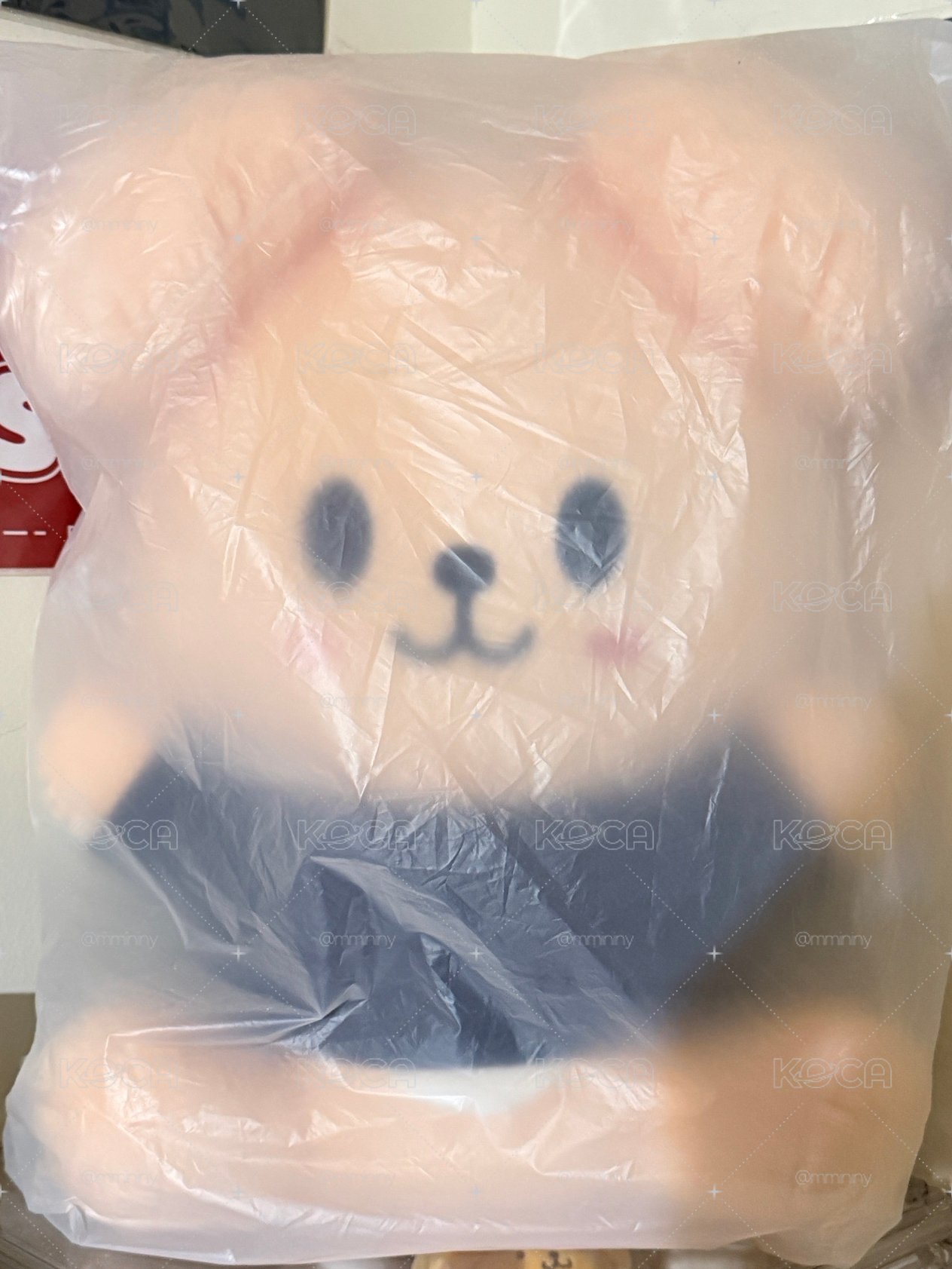 SKZOO帕皮抱抱大娃（含滿額卡）