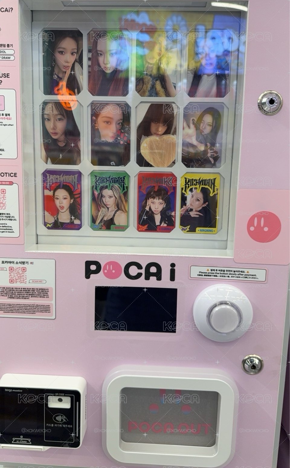 永遠枝持寧