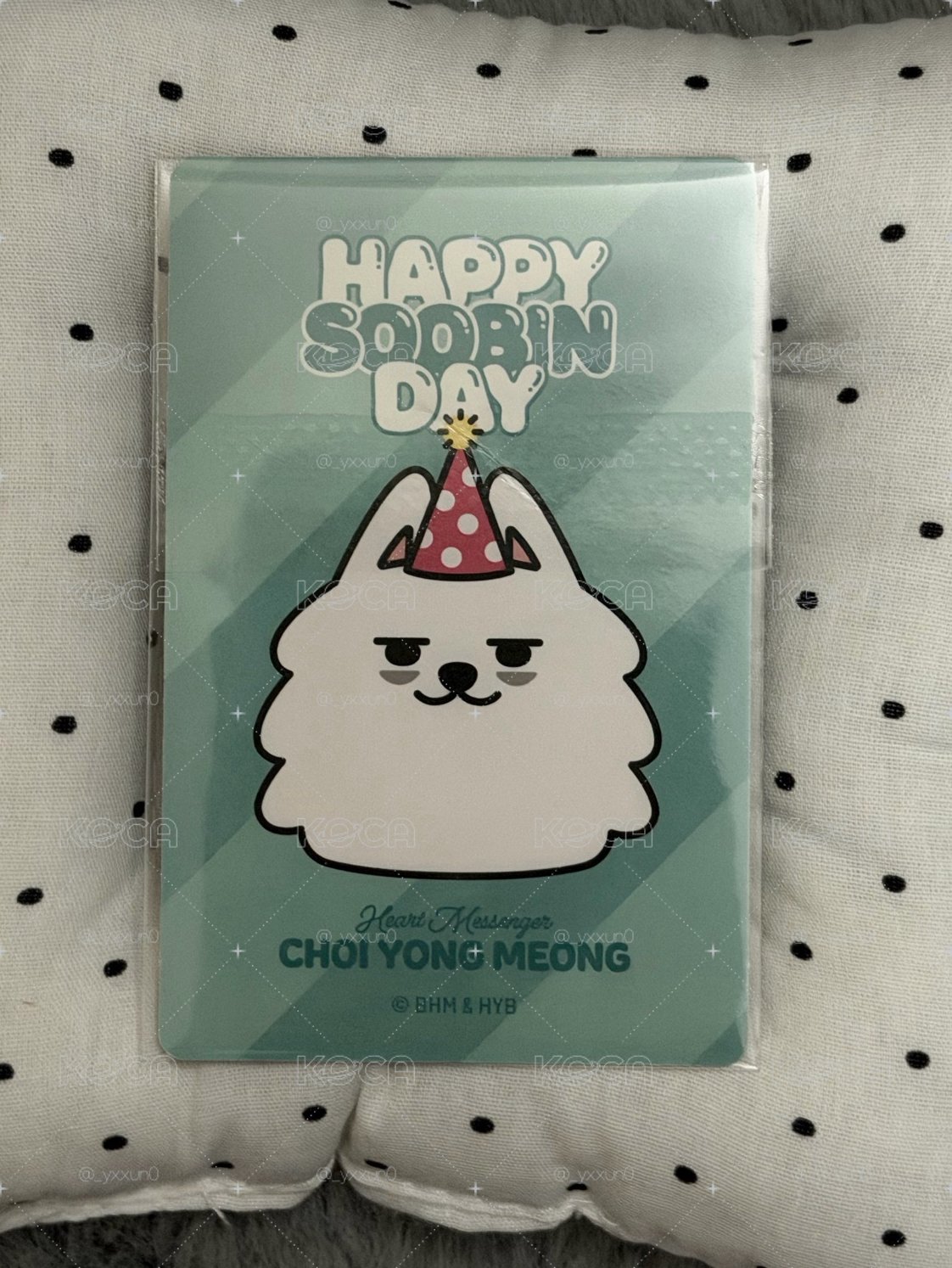 秀彬生日禮 卡+娃 整組