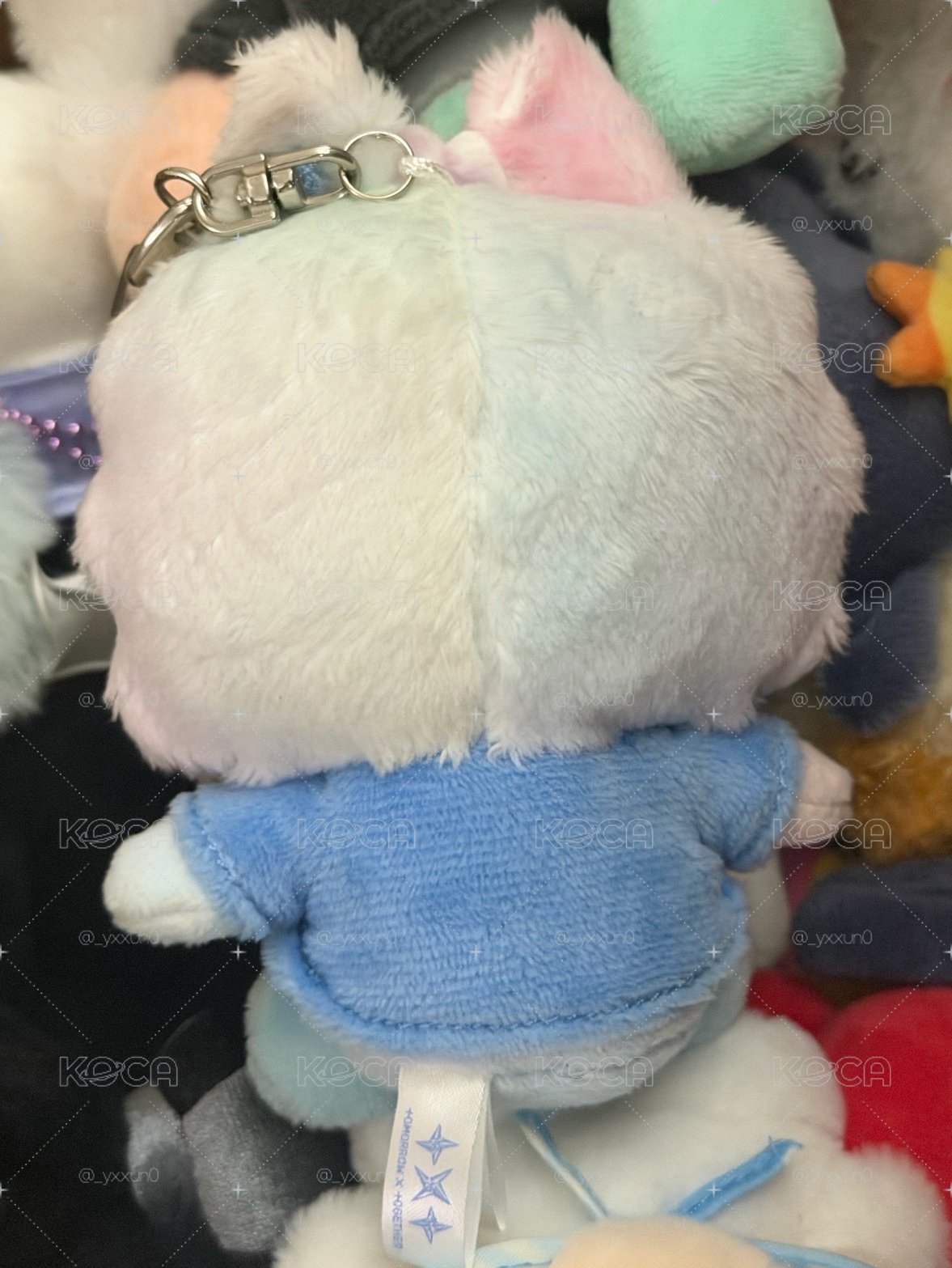 異色耳淡顏猛 染的非常漂亮的一隻寶寶🍼
