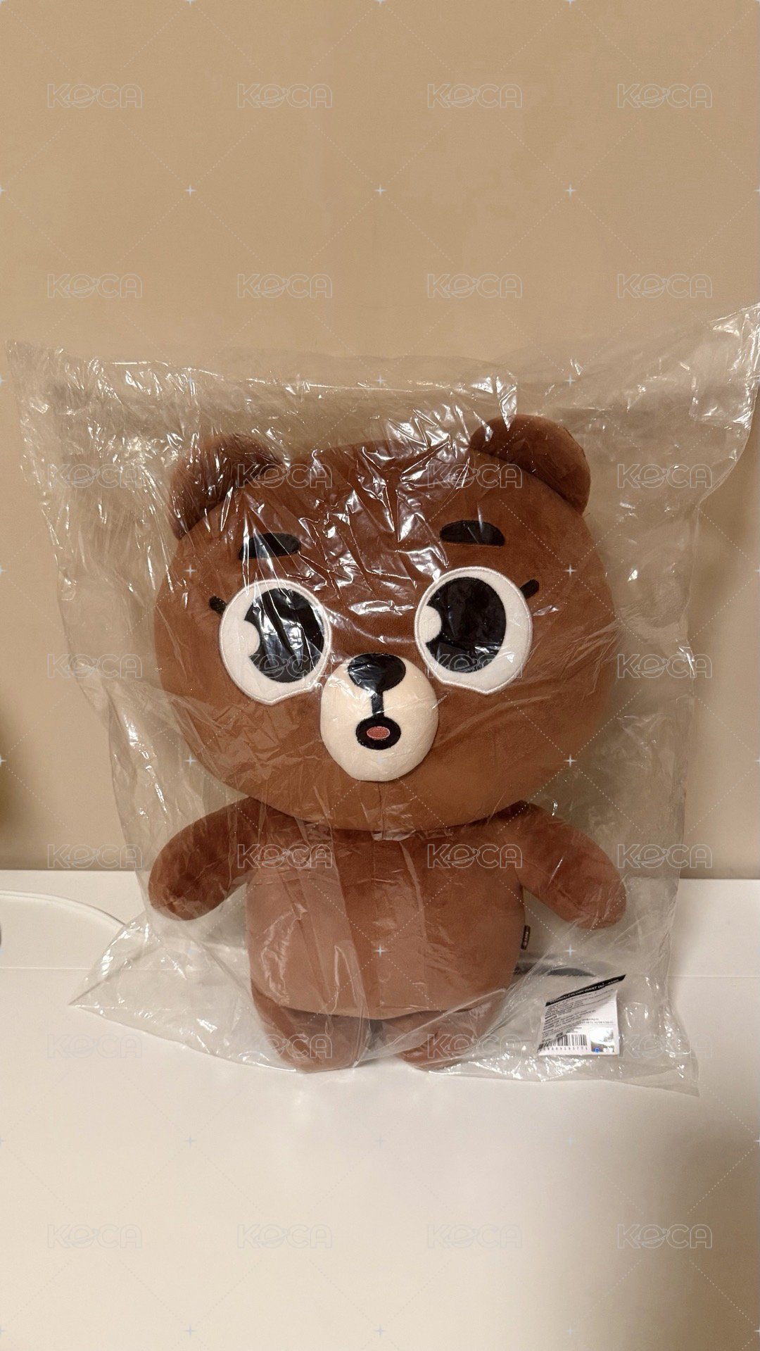 24年🐻