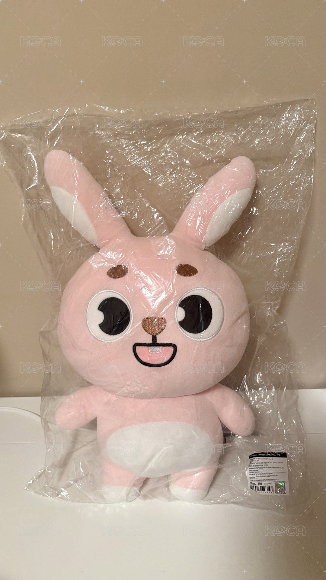 24年🐰