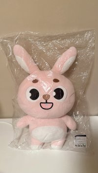 24年🐰