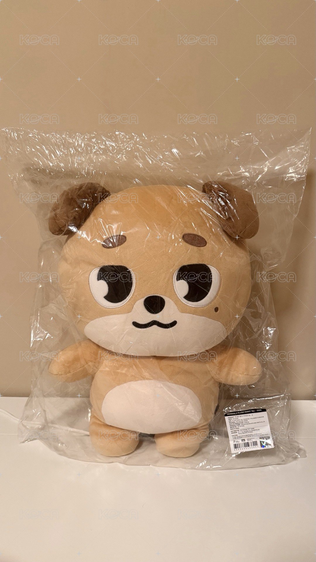 24年🐶