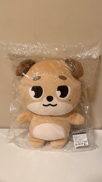 24年🐶