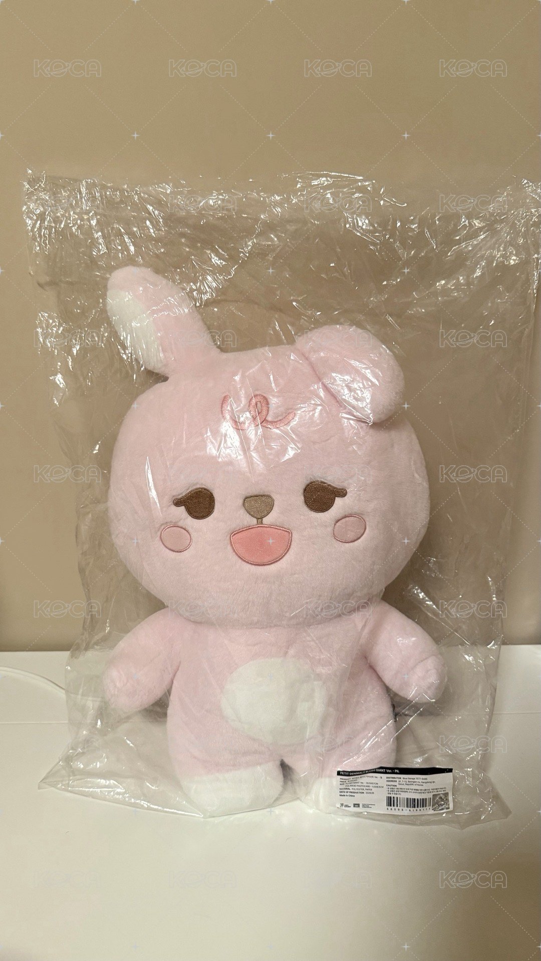 25年🐰