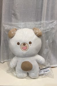 25年🐶