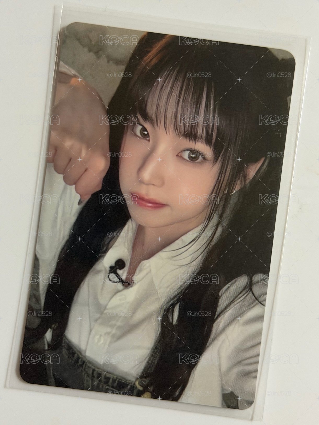 🐈 小貓掌櫃為您服務！