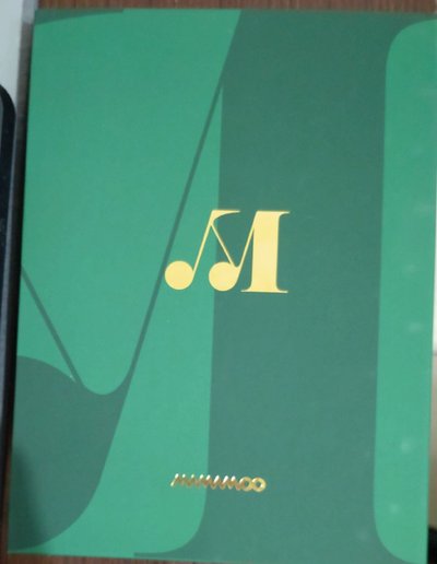 MAMAMOO Travel 有損空專