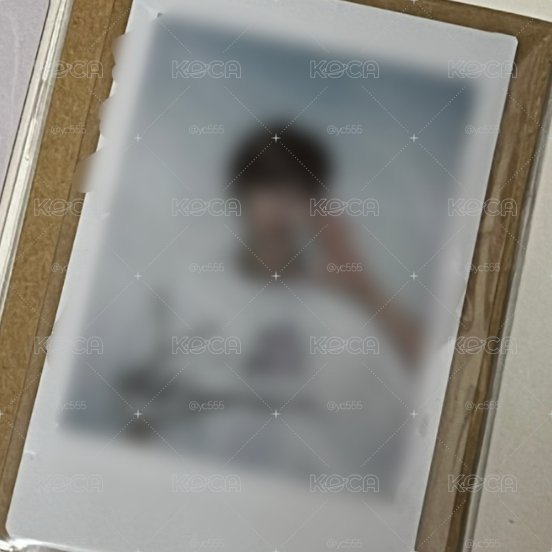 仙女樹 佳樹簽拍
