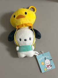 帕恰狗