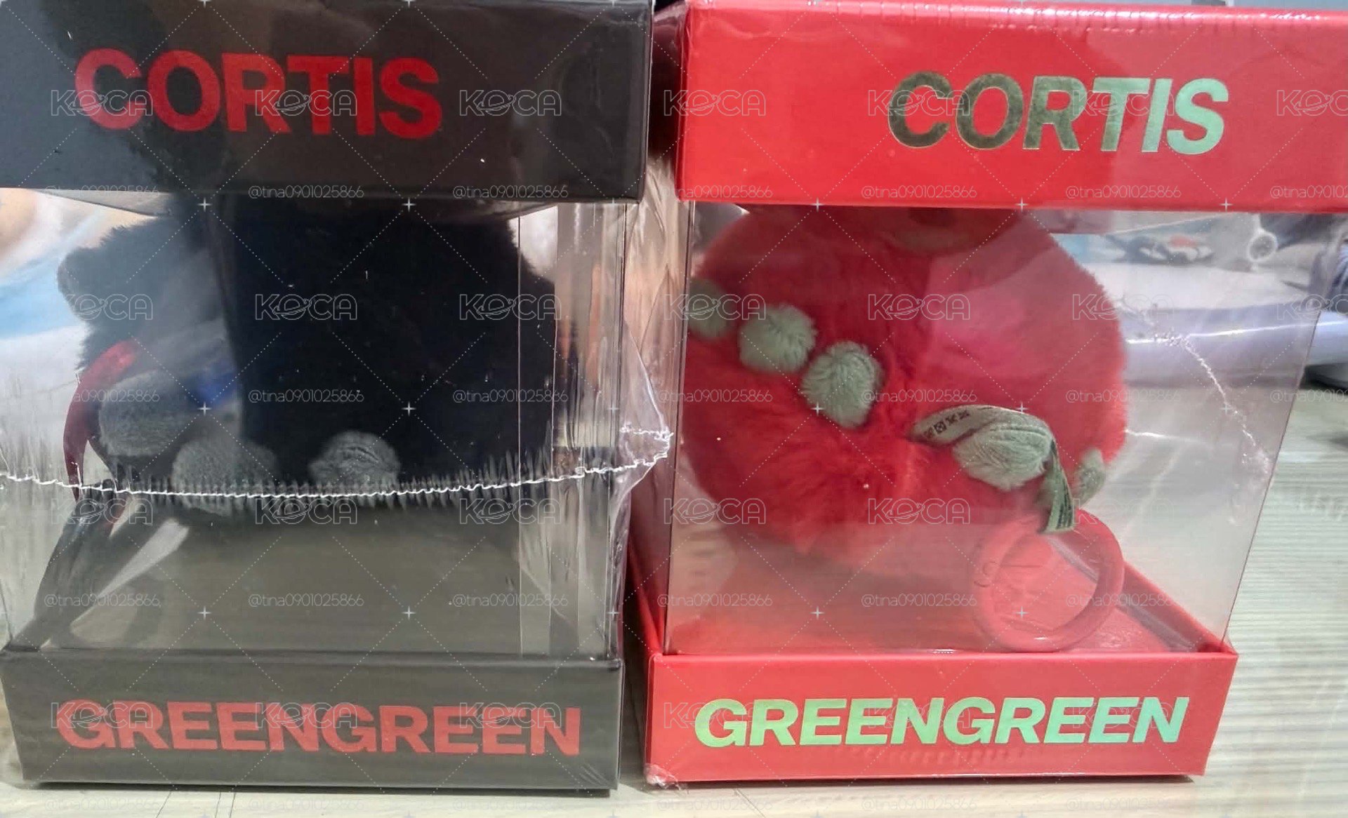球專