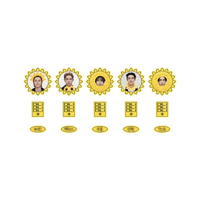 預購 CORTIS 一巡事後販售 需二補 區域限定徽章 球球吊飾 向日葵貼紙 向日葵吊飾 黑T