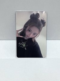 卡包丸子露露