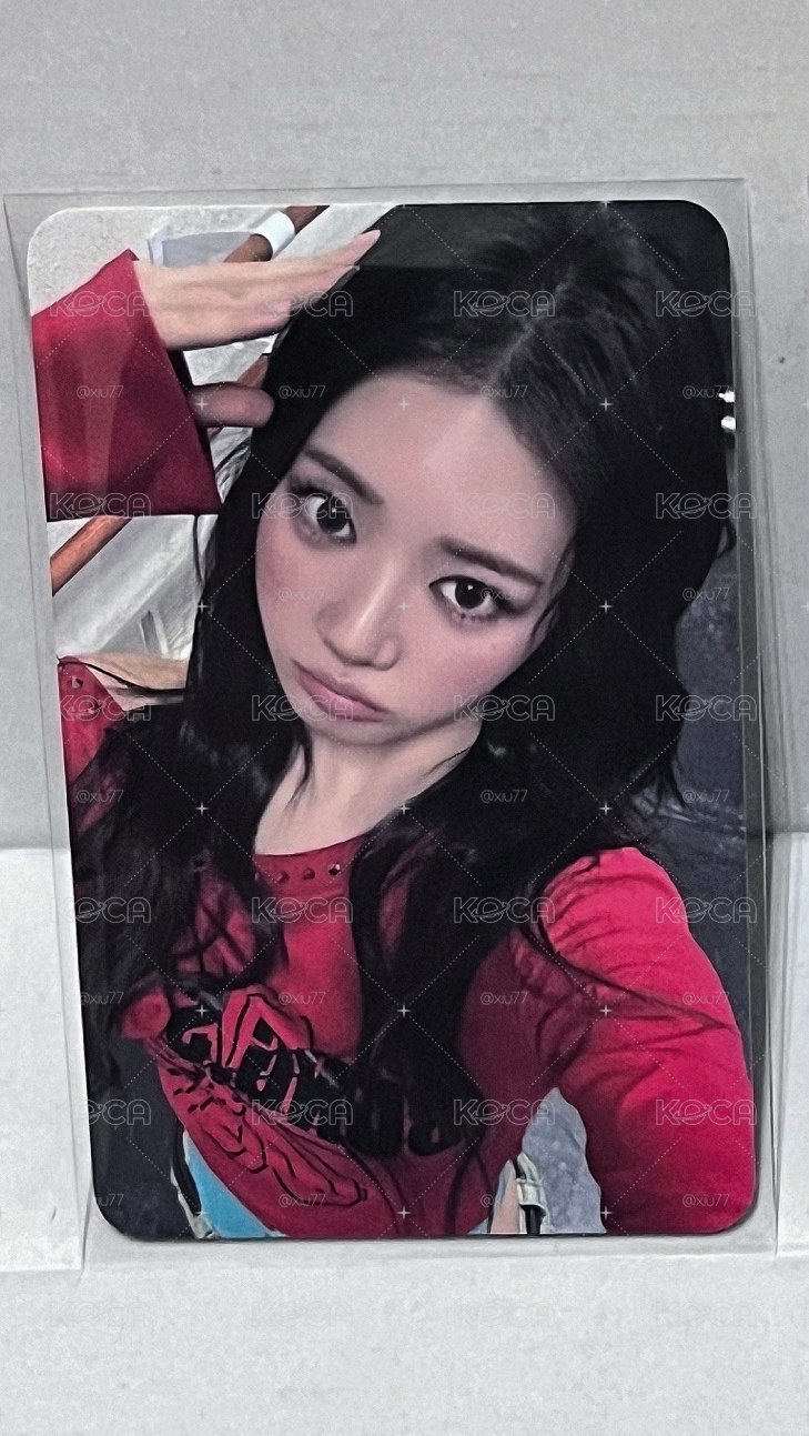 RORA🐼