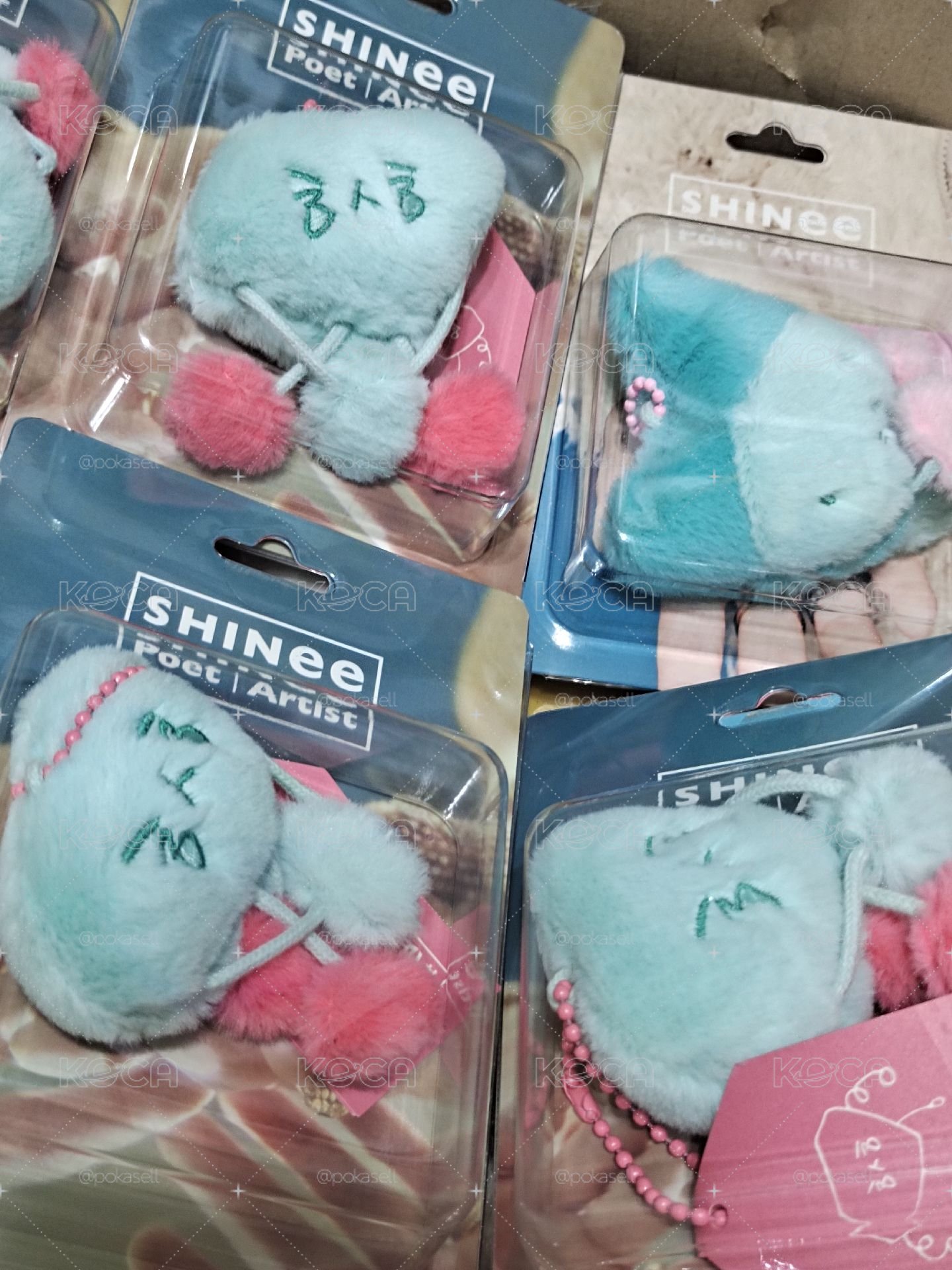 shinee 娃專