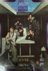TELECA 收藏卡 限量團卡50編