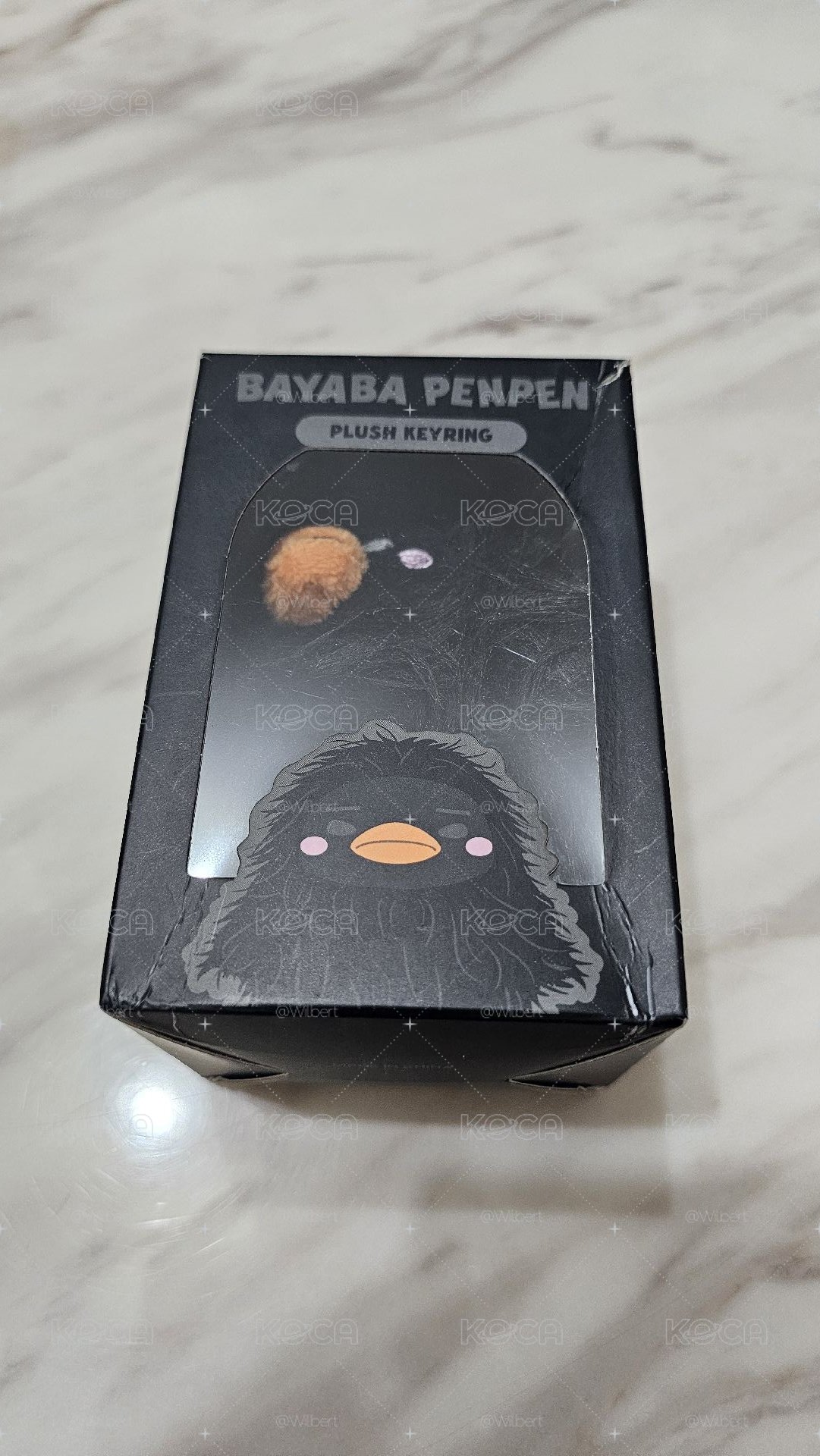 俊昊pen pen黑毛娃