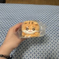 趴趴中拉米