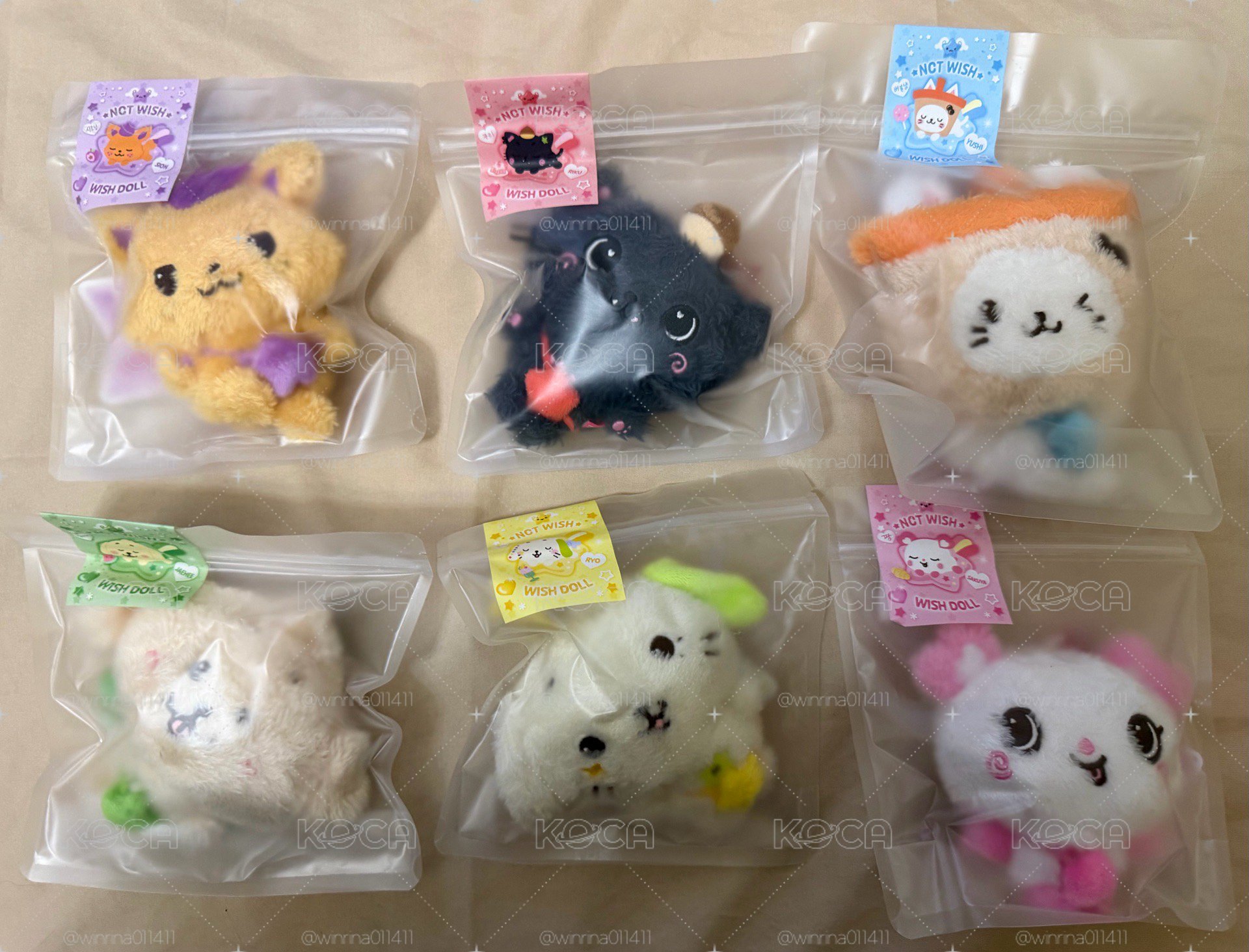 現貨 NCT WISH Wish doll 原皮 一販 直出不綁 全新未拆