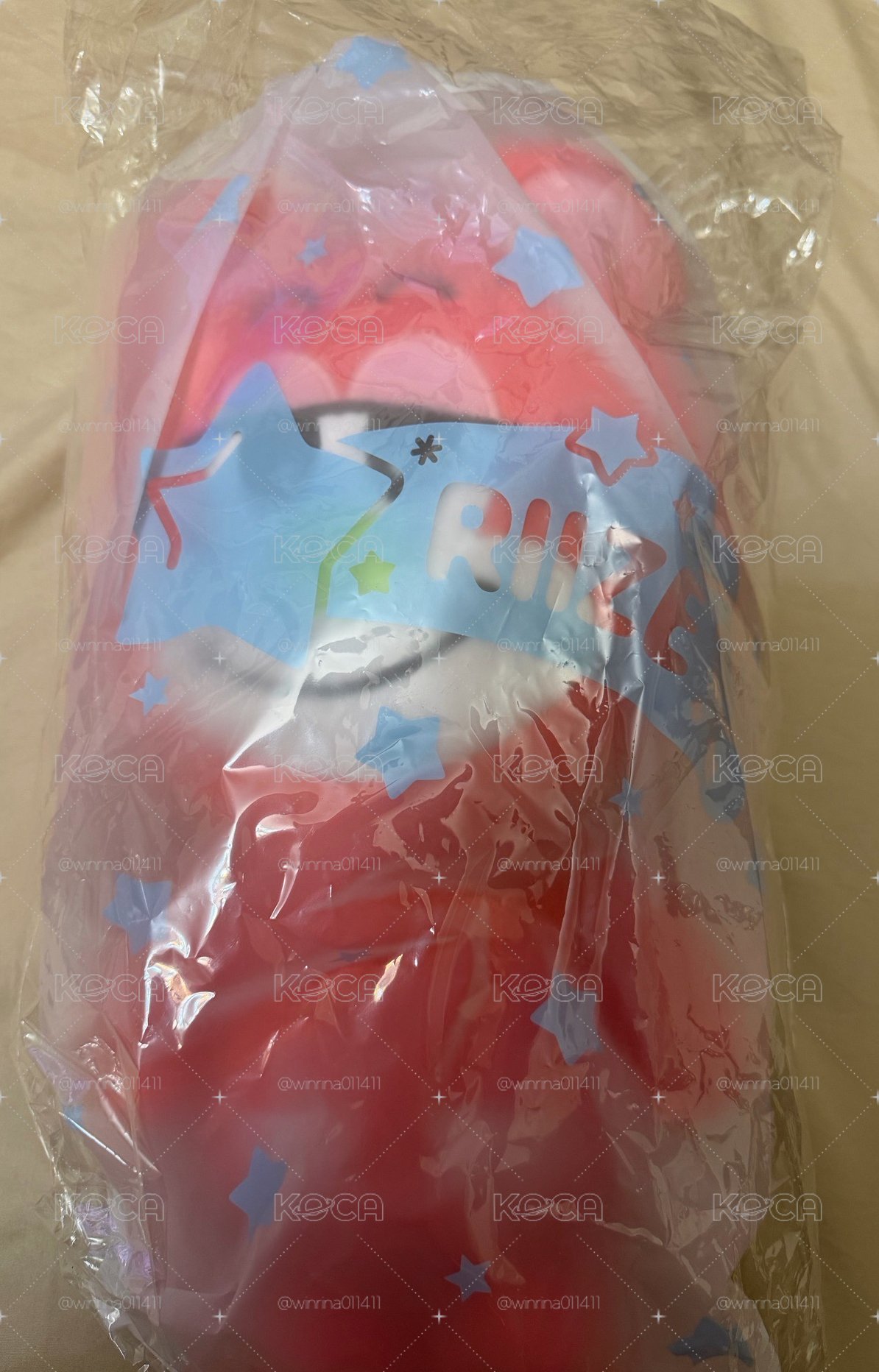 現貨 RIIZE 40cm 栗子扣 大娃 全新未拆