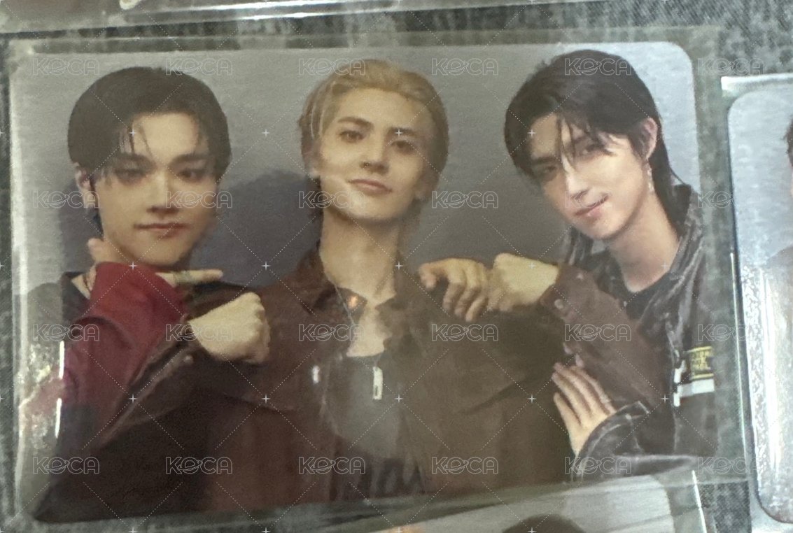 🐱🐺🐰
