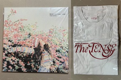 太妍 What Do I Call You 黑膠 未拆 + The TENSE 日本場 T恤(L) 未拆