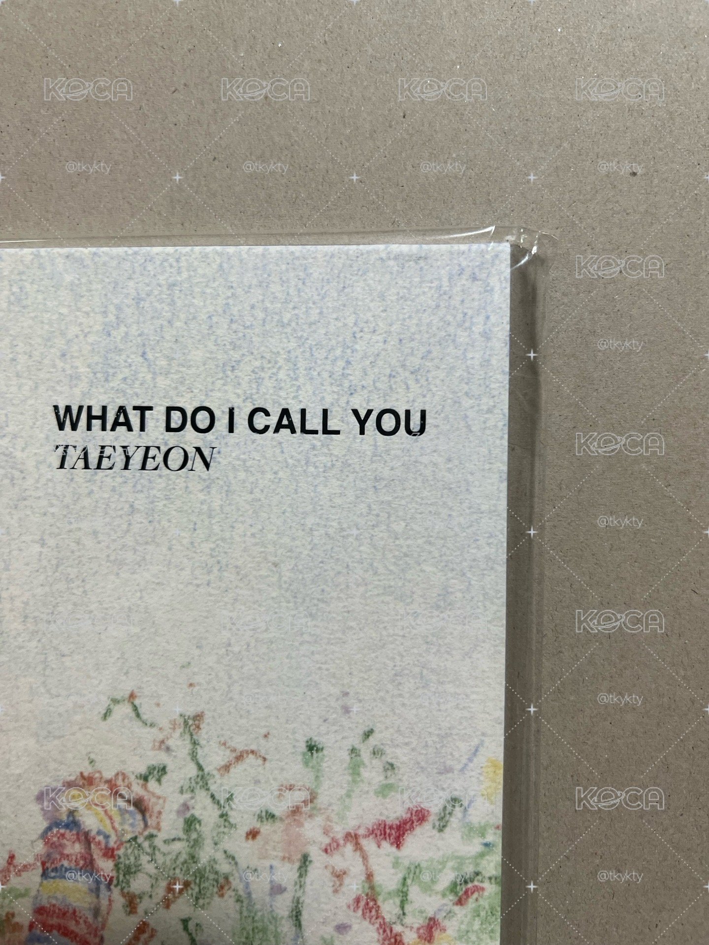 太妍 What Do I Call You 黑膠 未拆 + The TENSE 日本場 T恤(L) 未拆