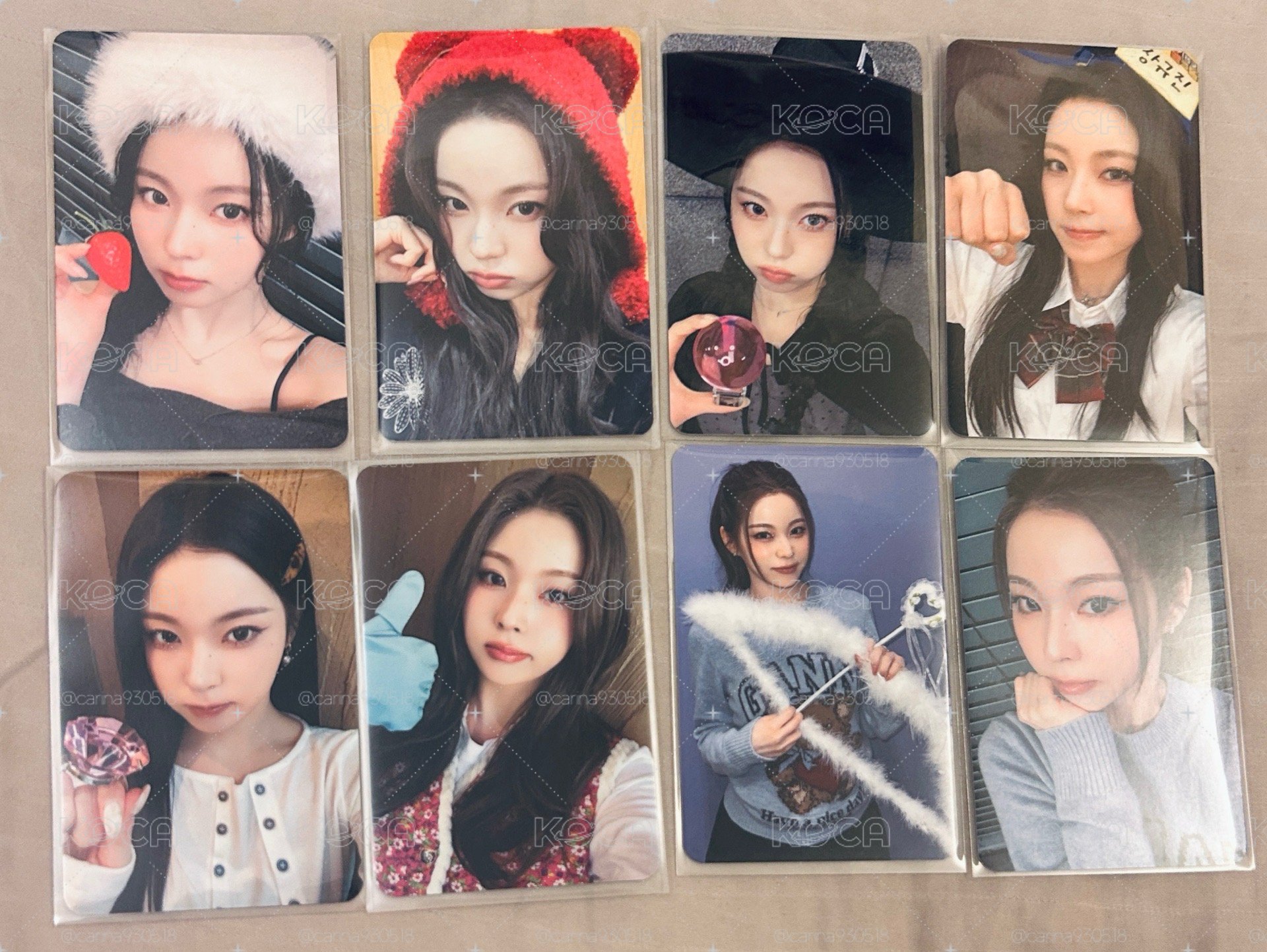 圭真百元小貓盤
