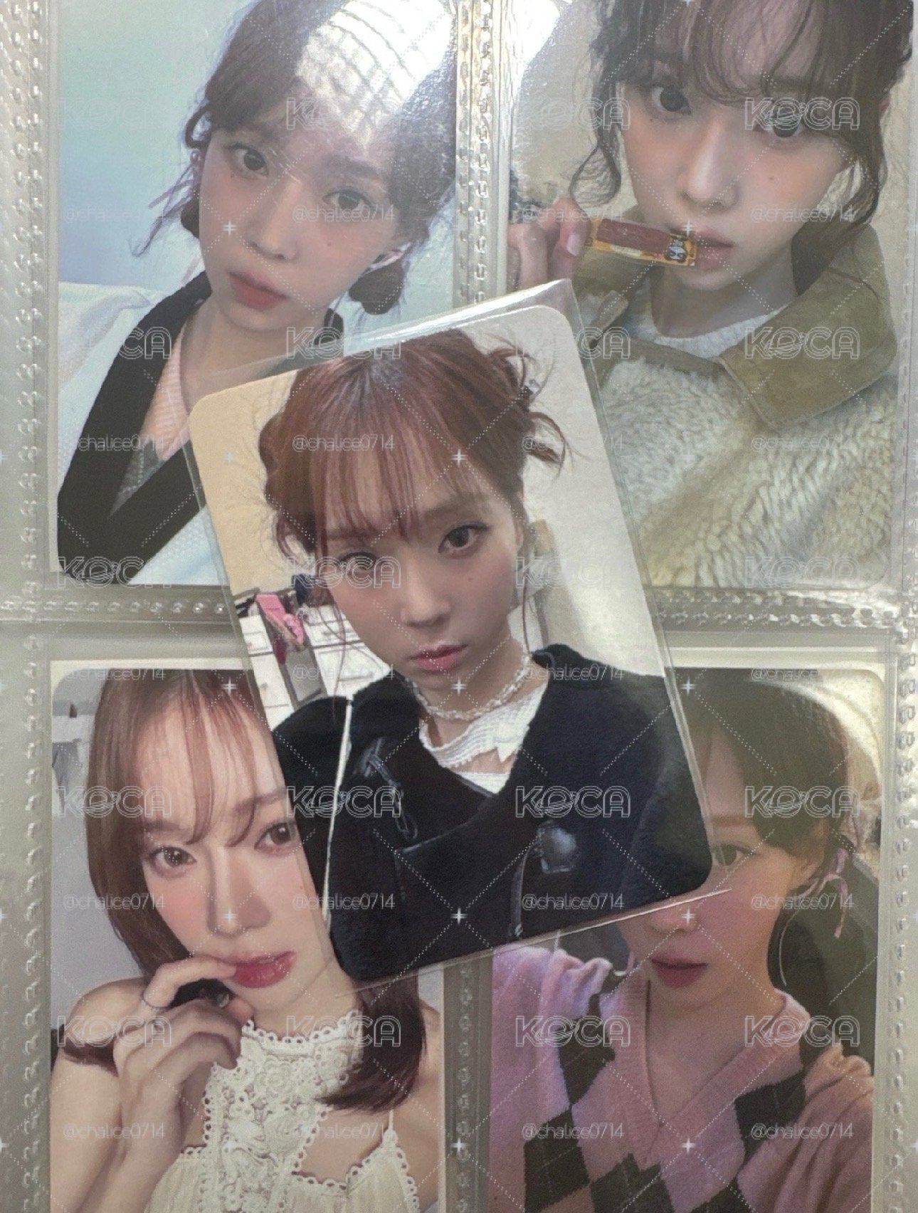 Drama sr 特典卡 星河預售D冬