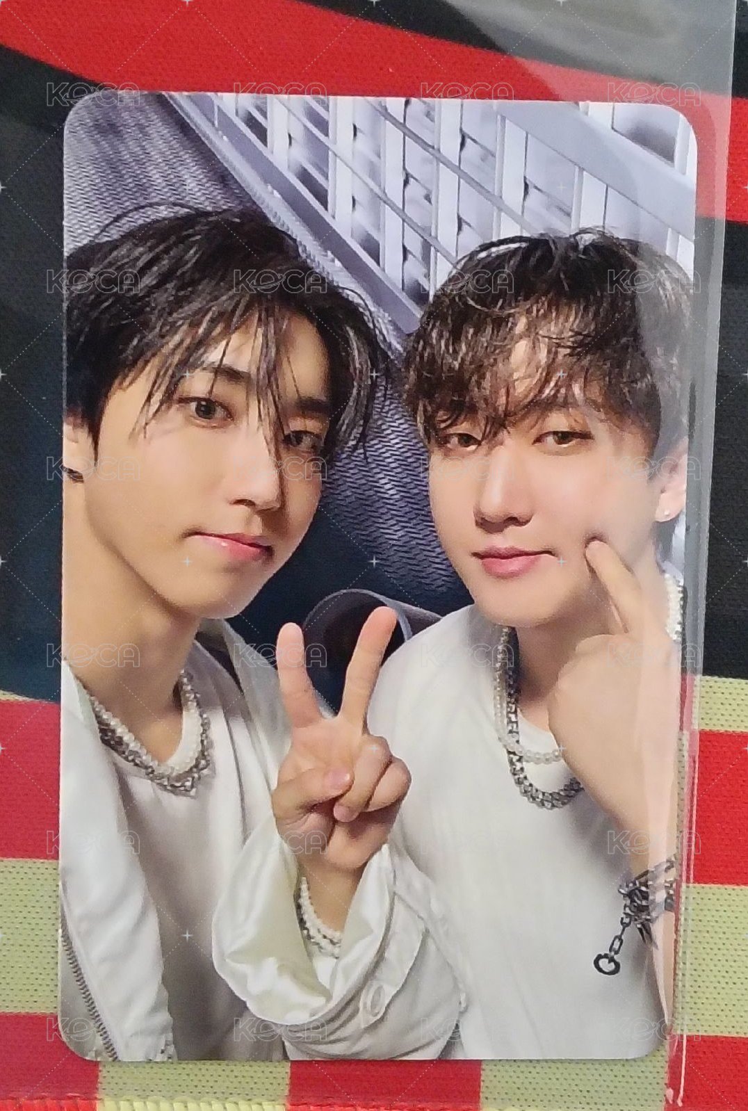 韓知城（HAN) 徐彰彬(Changbin) 雙人卡