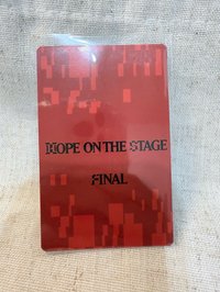 HOTS final入場卡