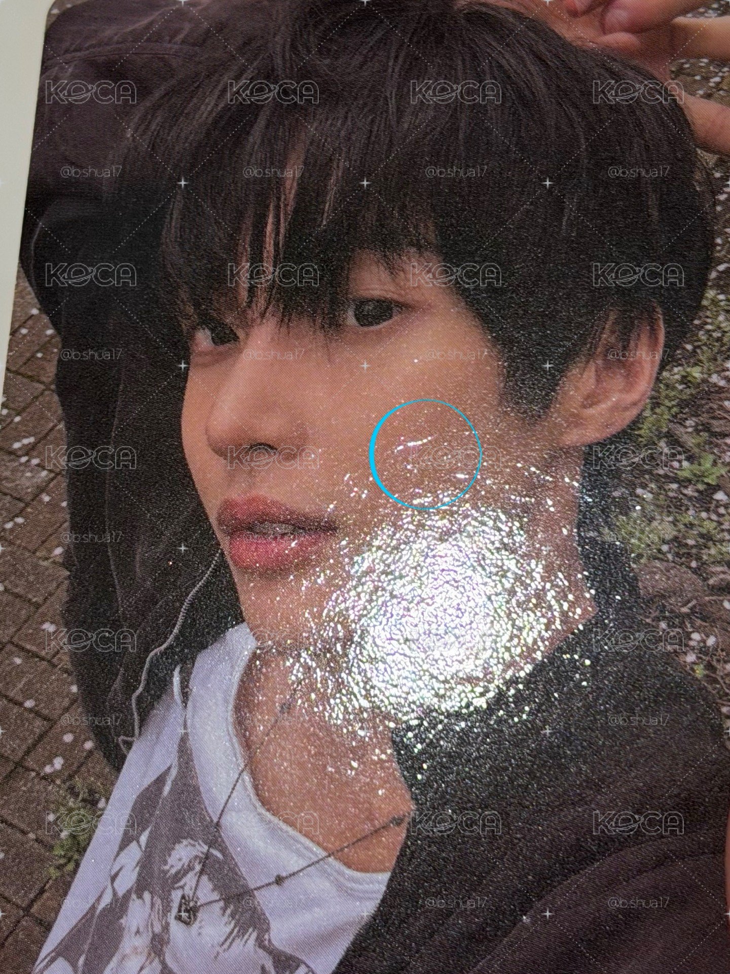 wvs彬