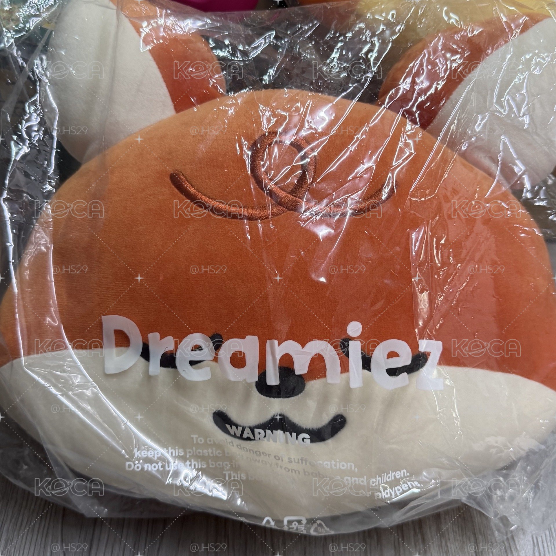 NCT DREAM黃仁俊抱枕