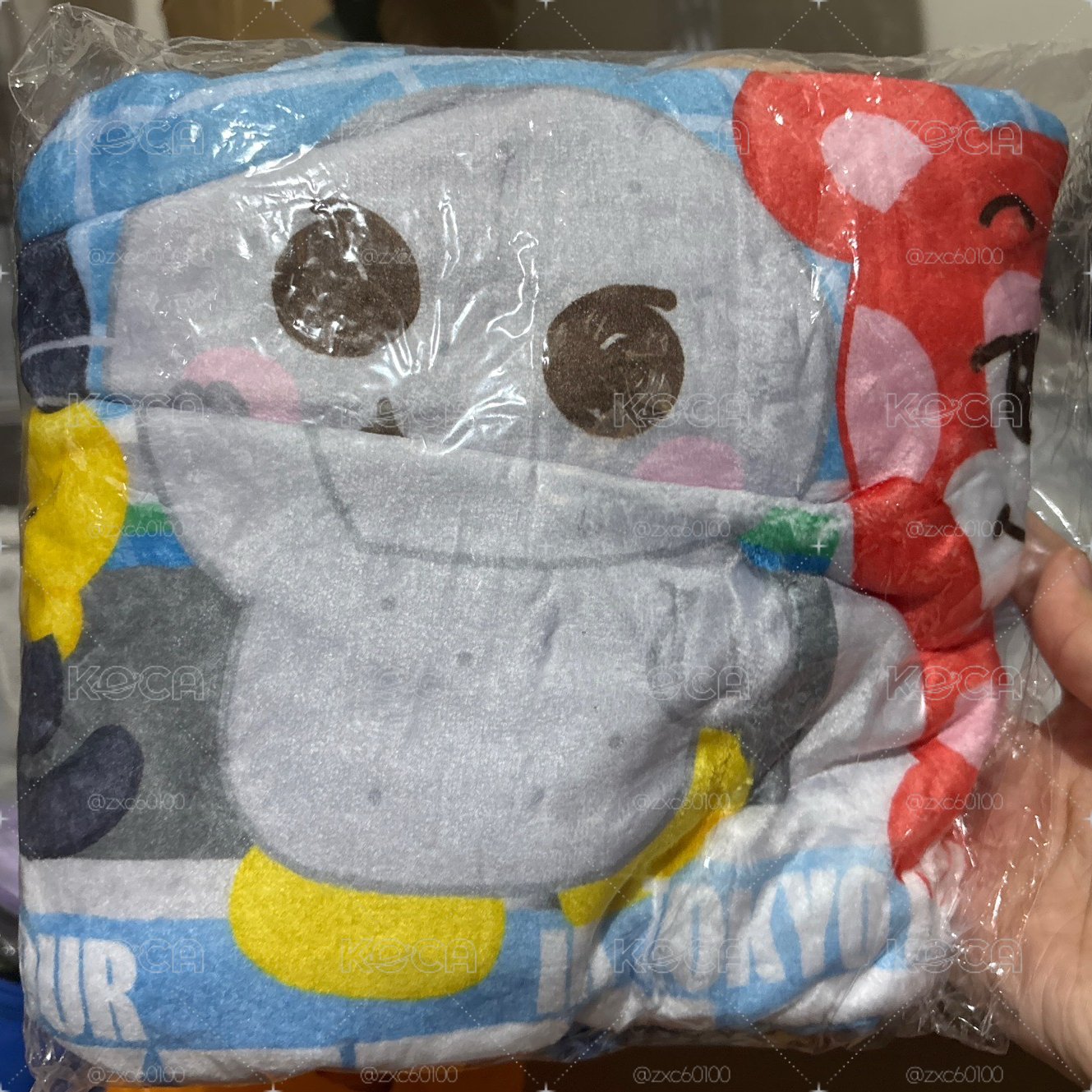 東蛋P席 毯子