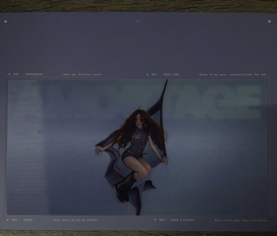 Search image