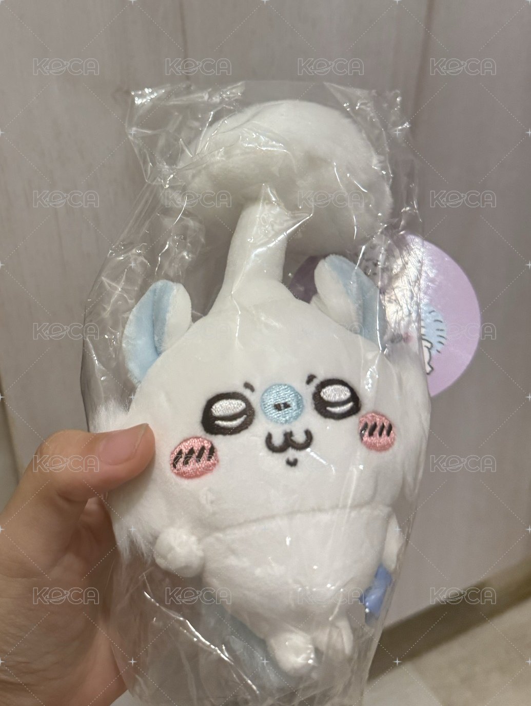 寄生有原袋