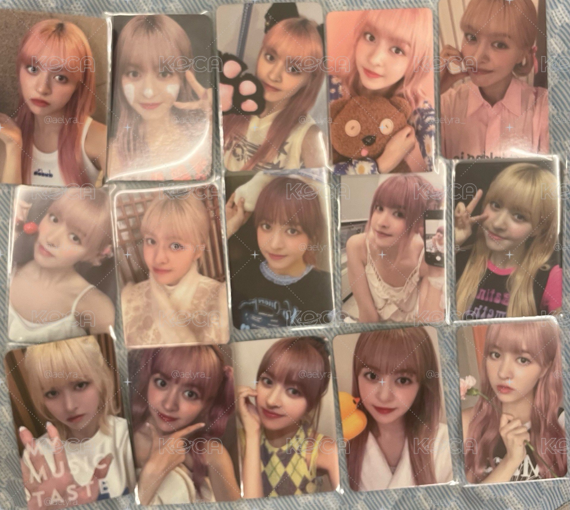 Lily盤23張