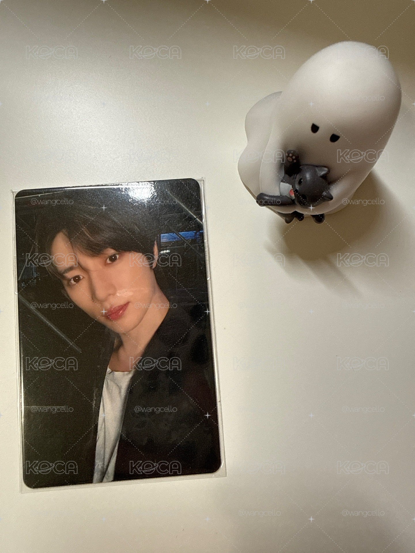 txt｜Starkissed 日咖 2.0 幸運卡 圭
