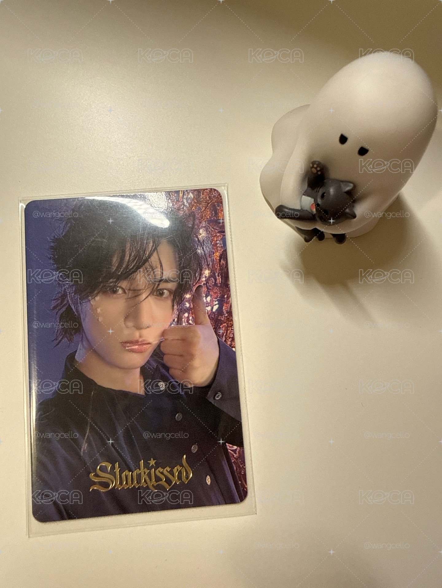 txt｜Starkissed 日咖 特典卡 圭